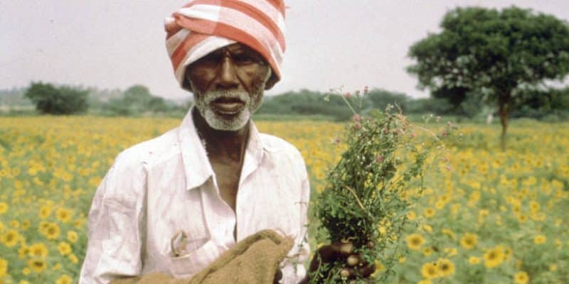 "Ayurveda: el arte de vivir"