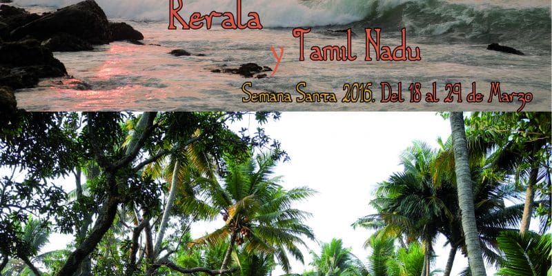 Viaje a Kerala sobre Ayurveda