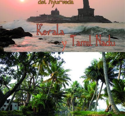 Viaje a India: Kerala la cuna de Ayurveda