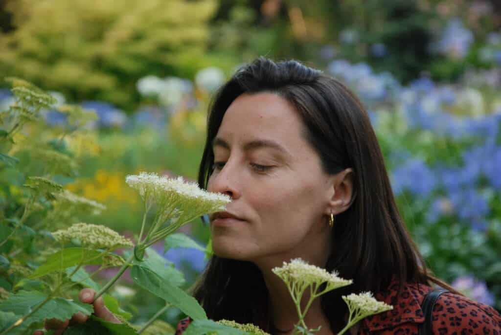 El olfato retiro ayurveda en la naturaleza consulta y plantas ayurveda