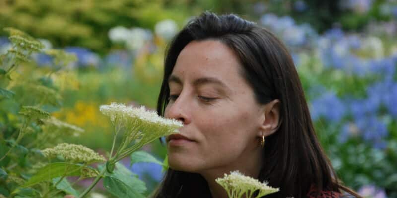 El olfato retiro ayurveda en la naturaleza consulta y plantas ayurveda