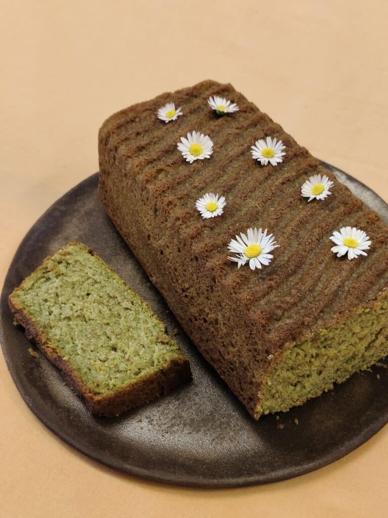 recetas de ortiga plantas ayurvédicas