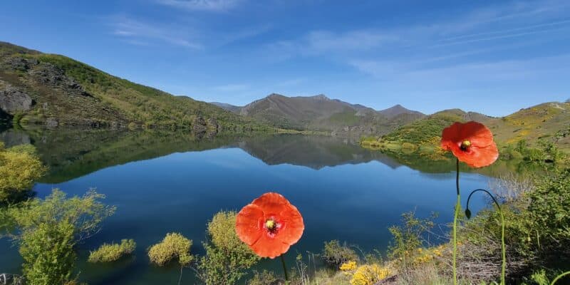 Retiro Ayurveda primavera