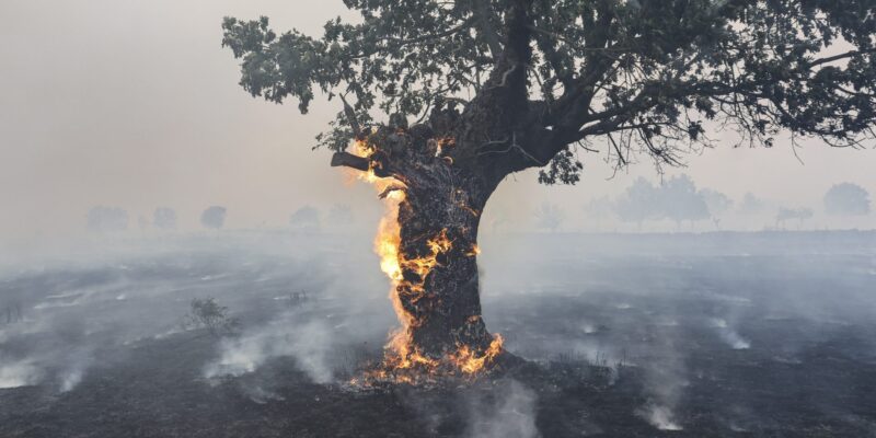 Consejos contra la contaminación ambiental del aire