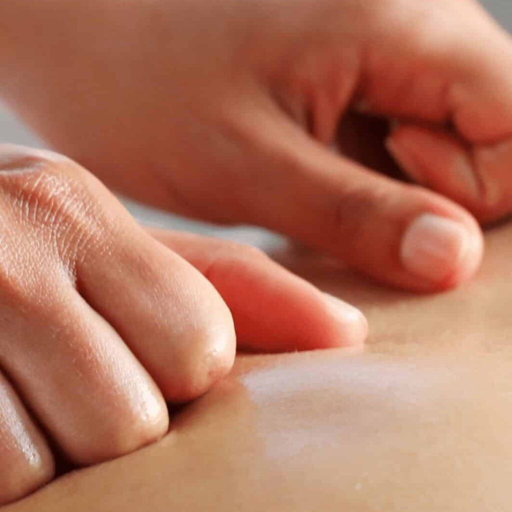 piel según ayurveda plantas ayurvédicas