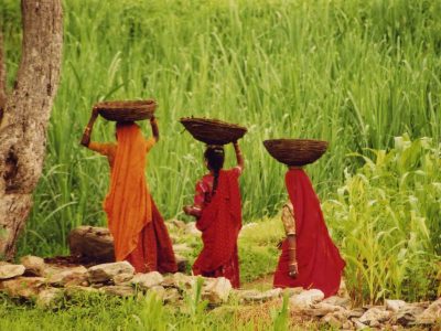 Constitución personal o prakruti viaje a India