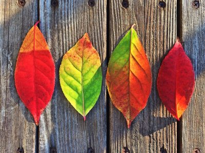 consejos ayurveda para el cansancio otoñal