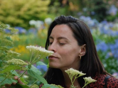 El olfato retiro ayurveda en la naturaleza consulta y plantas ayurveda