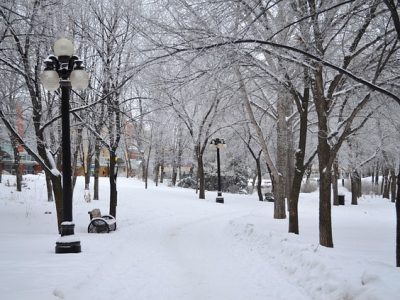 Invierno consejos ayurveda